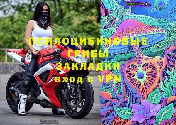 ECSTASY Костерёво