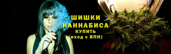 ECSTASY Костерёво
