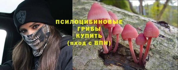 ALPHA PVP Коряжма