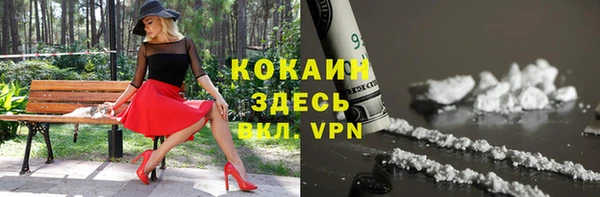 ECSTASY Костерёво